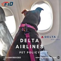 Delta Airlines Pet Policy +1-844-868-8303 FlightinfoDesk