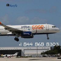 JetBlue Airways Flight Booking &amp; Deals +1 844 868 8303
