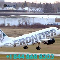 Frontier Airlines Flight Booking &amp; Deals +1 844 868 8303