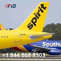 Spirit Airlines Flight Booking +1 844 868 8303 | FlightinfoDesk