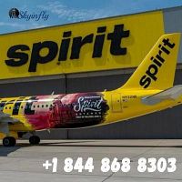 Spirit Airlines Flight Booking Number +1 844 868 8303
