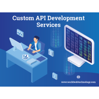 Custom Web API Development &amp; Integration Services Company | World Web Technology