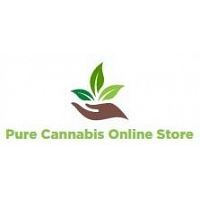 Low Price Cannabis Buy Online Pure Cannabis Store 