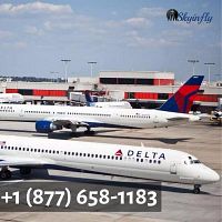  Delta Airlines Flight Booking Number +1 (877) 658-1183
