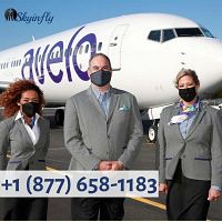 +1 (877) 658-1183 for Avelo airlines flight booking deweyville