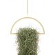 Gold Hanging Semicircle Plant Holder........................