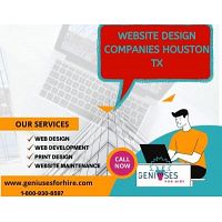 Professional Web Design Agency in Houston, Texas - Geniuses For Hire