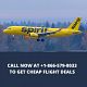 Book Cheap Spirit Airlines Flights +1-866-579-8033