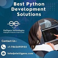 Best Python Development Solutions                                                    