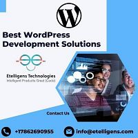Best WordPress Development Solutions                               