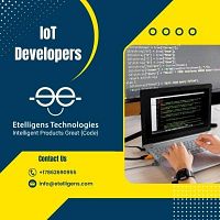 Hire Professional IoT Developers                                     