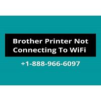 Brother Printer Not Connecting To WiFi | Solve This Error