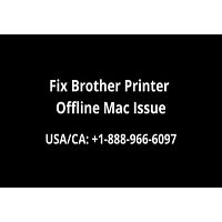 Brother Printer Offline Mac | Easy Fixes For This Error