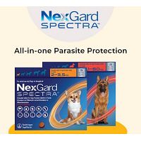 Shop NexGard Spectra Flea and Worm Treatment | All Pack Available: SHOP NOW