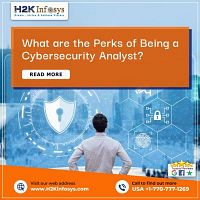 Obtain the best online cyber security training from H2k Infosys