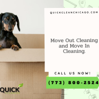 Move Out Cleaning in Chicago, Illinois