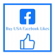 Get real USA Facebook likes- Instant Delivery