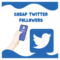 Best offer to buy cheap Twitter followers