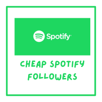 Buy cheap Spotify followers- organic and safe