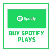Buy Spotify plays in budget   