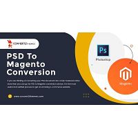 PSD to Magento Conversion, PSD to Magento Development - Convert2Themes