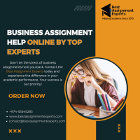 Business Assignment Help Online