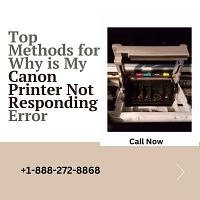 Top Methods for Why is My Canon Printer Not Responding Error